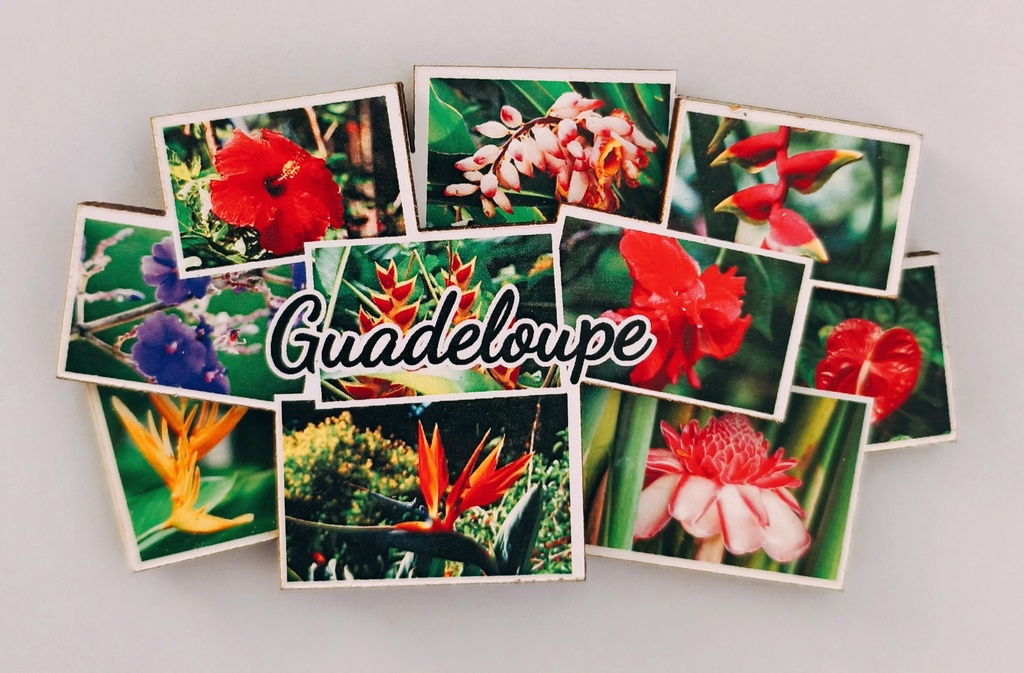 Magnet MDF - Multivue Thème Fleur