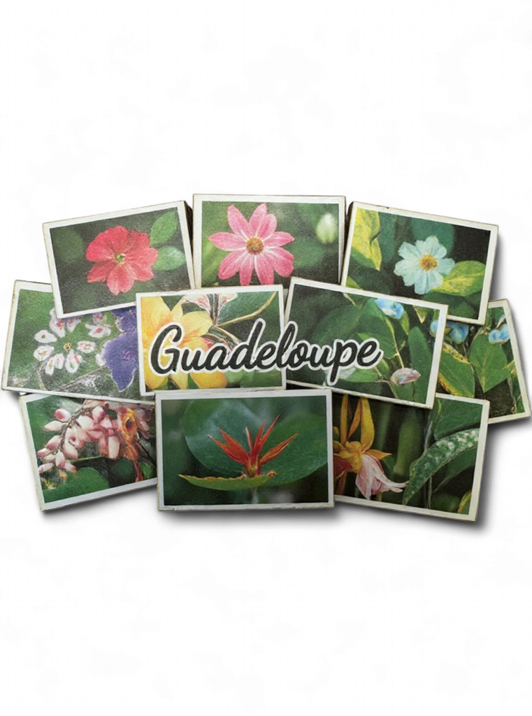 Magnet MDF - Multivue Thème Fleur