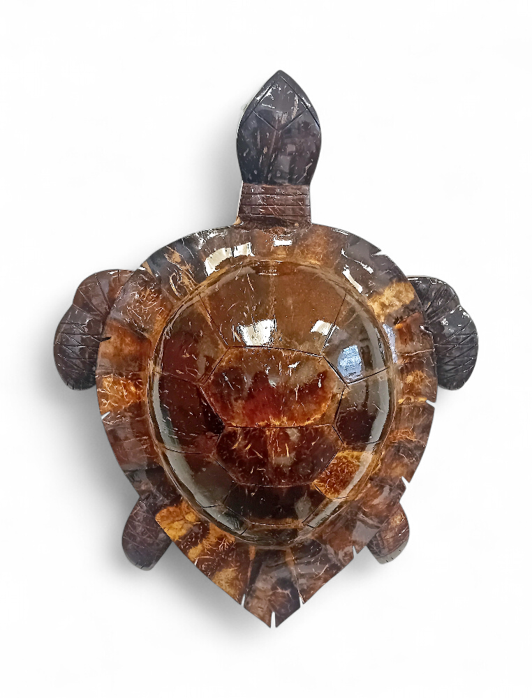 Tortue en coco de 40 cm