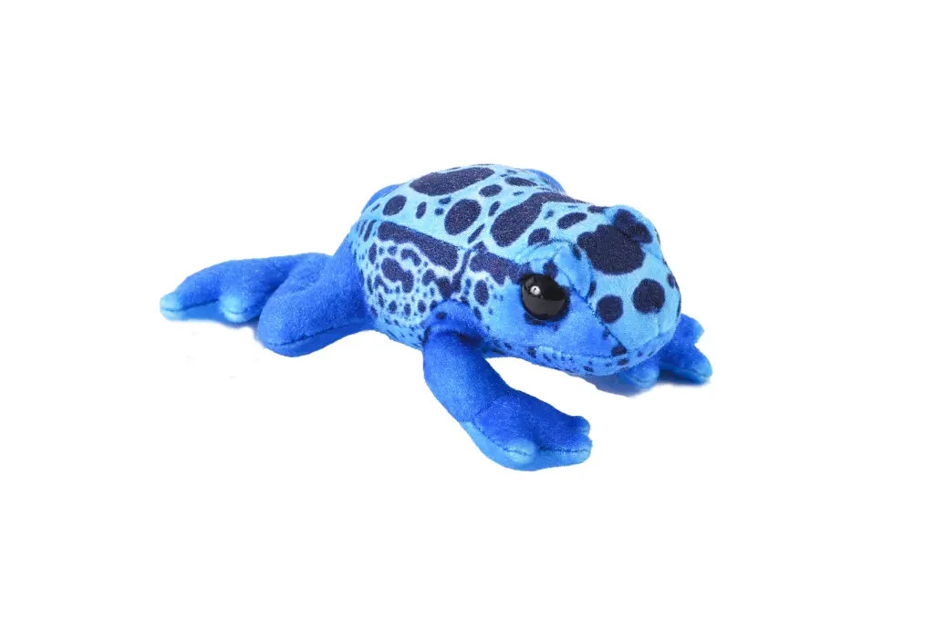 Wild calls blue poison dart Frog