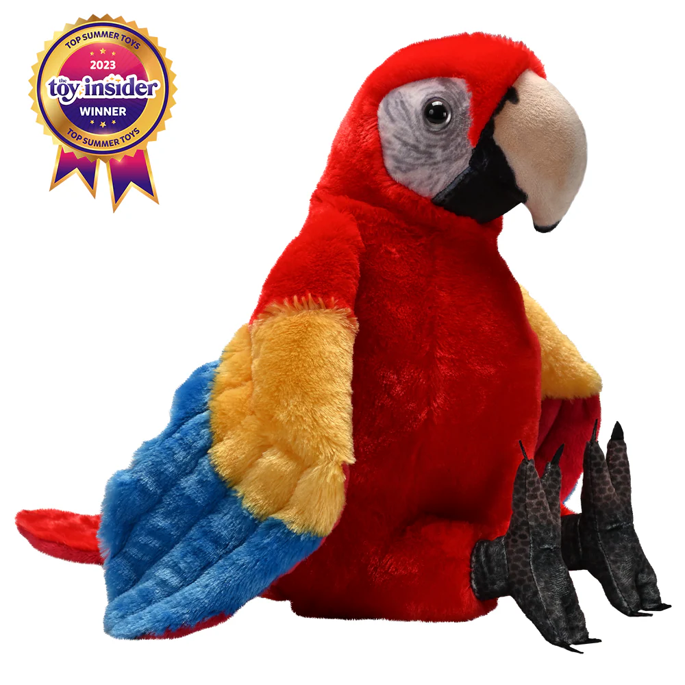 Artist scarlet Macaw