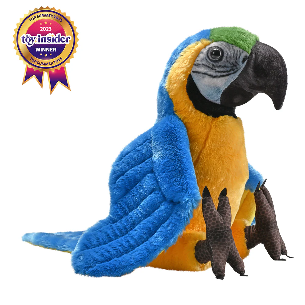 Artist blue yellow Macaw 