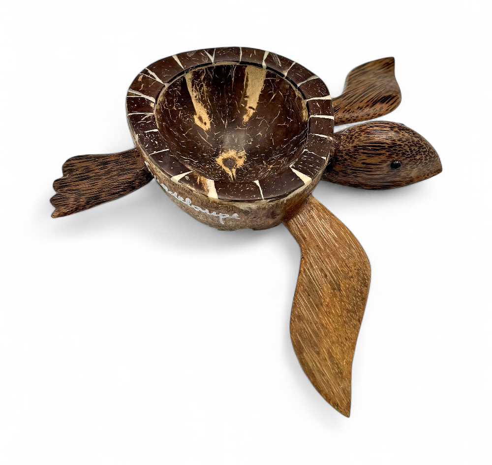 Vide poche coco Tortue